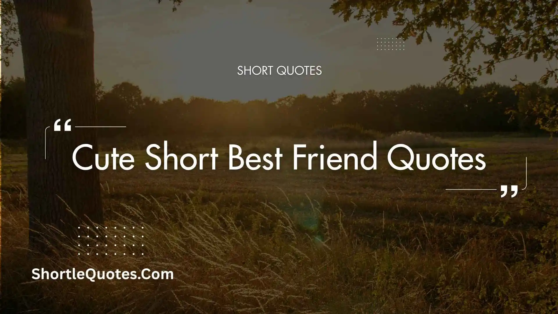 241+ Cute Short Best Friend Quotes That Will Make Your Best Friend Feel Truly Special 