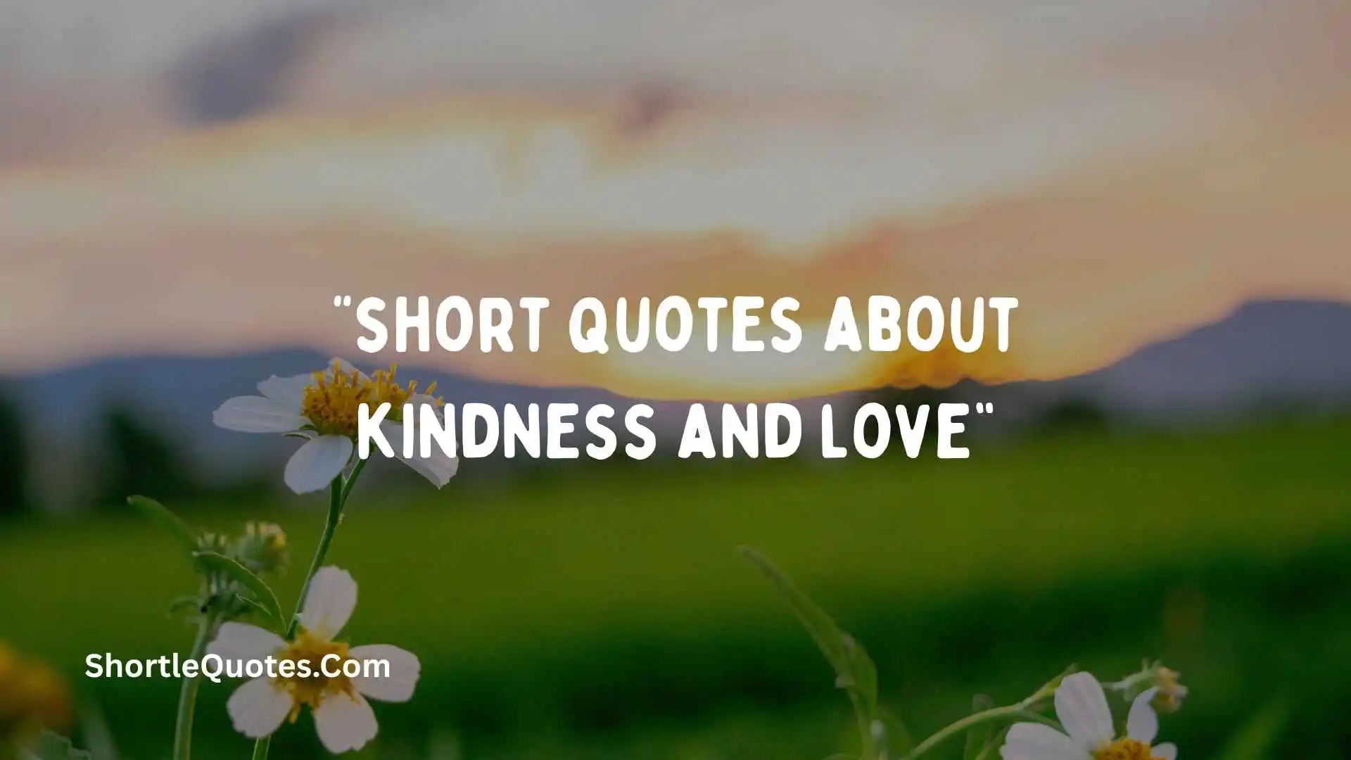 261+ Short Quotes About Kindness and Love to Spread Positivity, Hope, and Happiness 