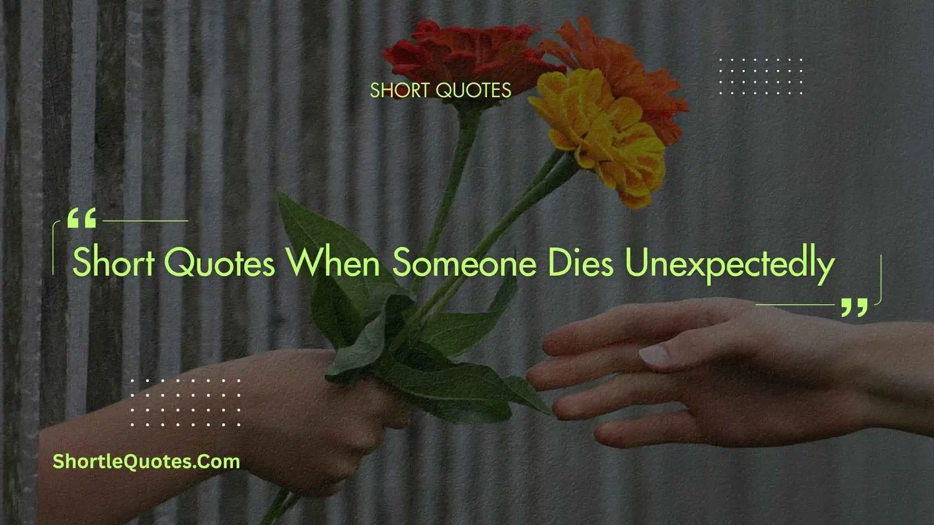 273+ Short Quotes When Someone Dies Unexpectedly That Bring Peace and Comfort 