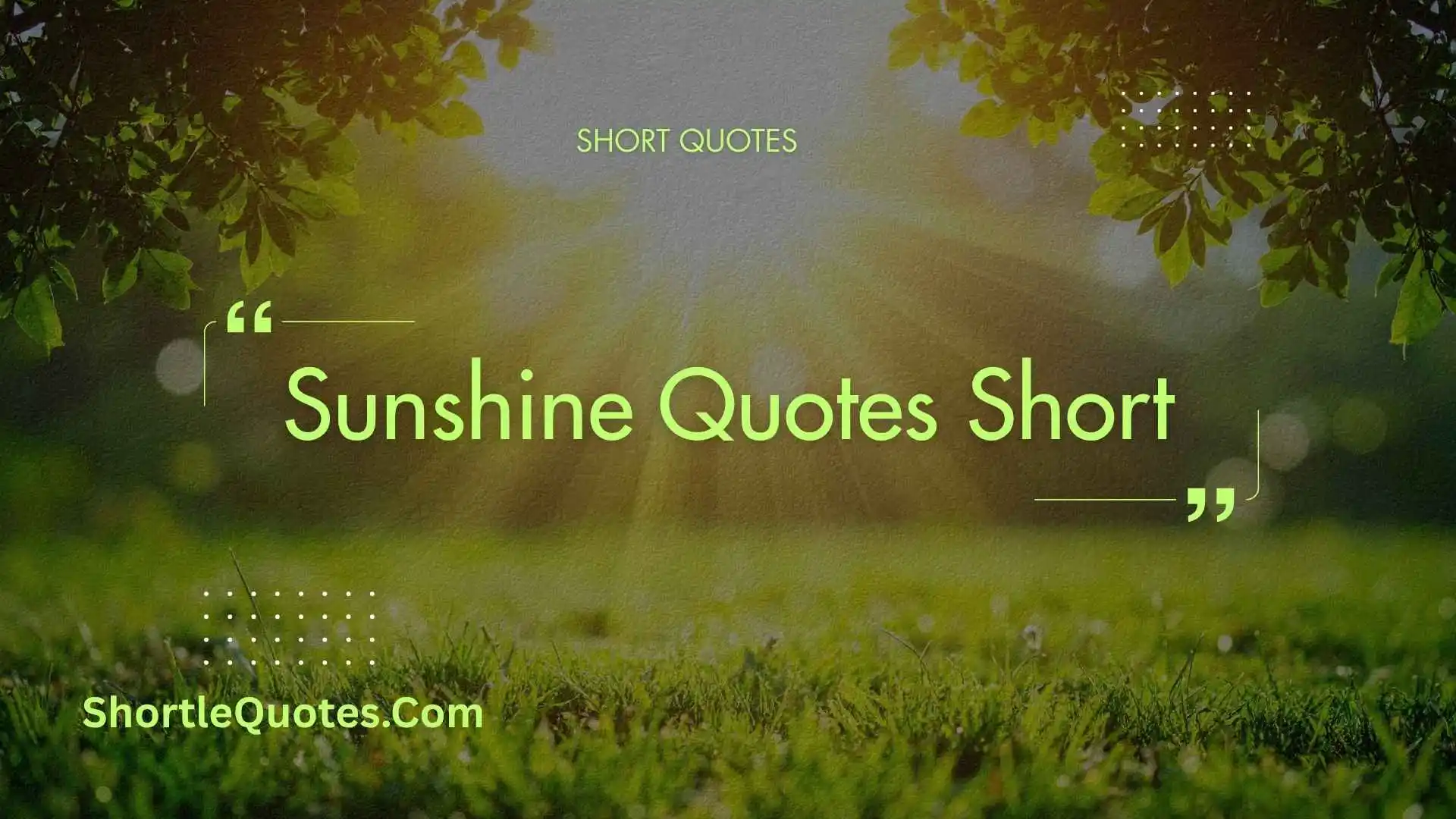 247+ Sunshine Quotes Short: Easy Words That Inspire Positivity 